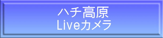 �n�`���� Live�J����