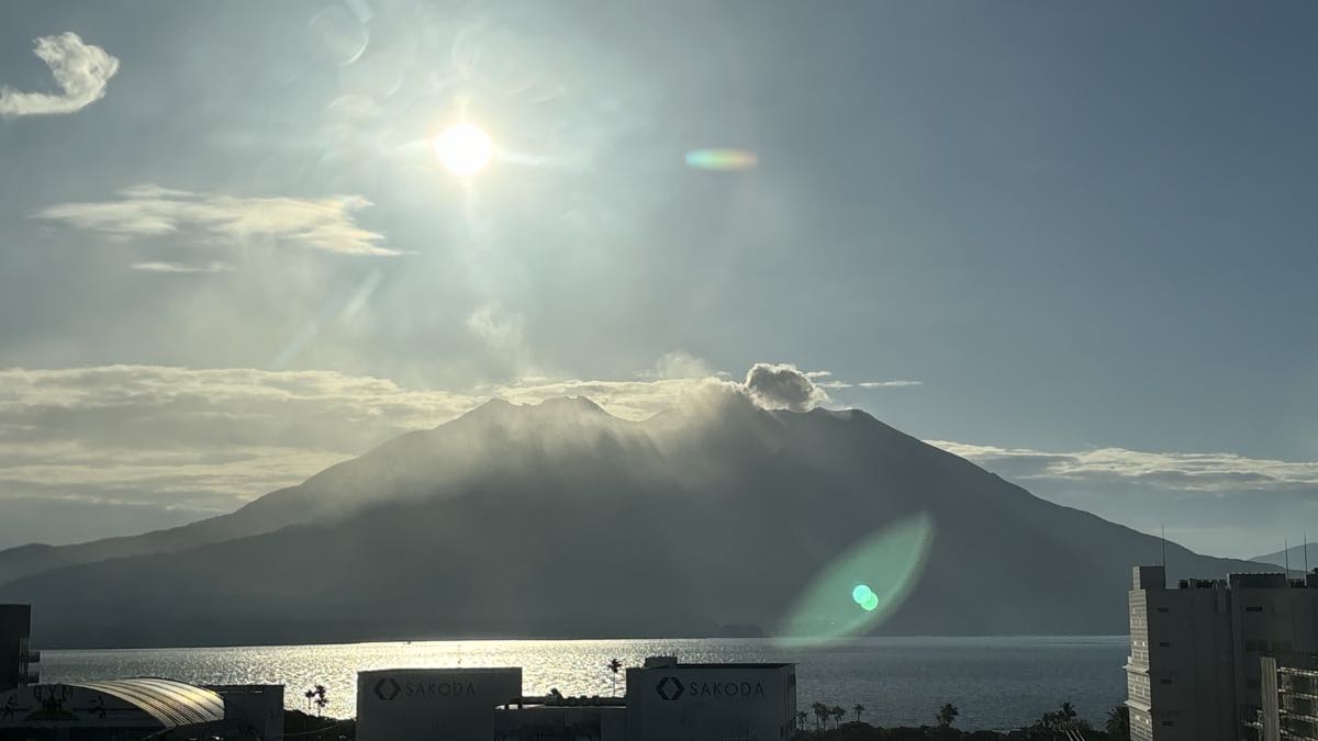 ３日目の様子