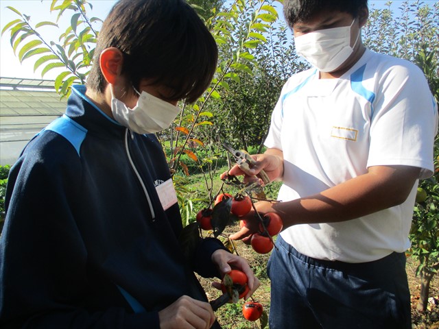 トライやる写真館