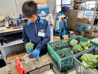 １日目の様子