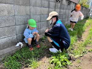 ２日目の様子