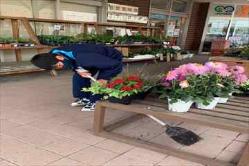 ４日目の様子