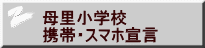 ꗢwZ@ gсEX}z錾